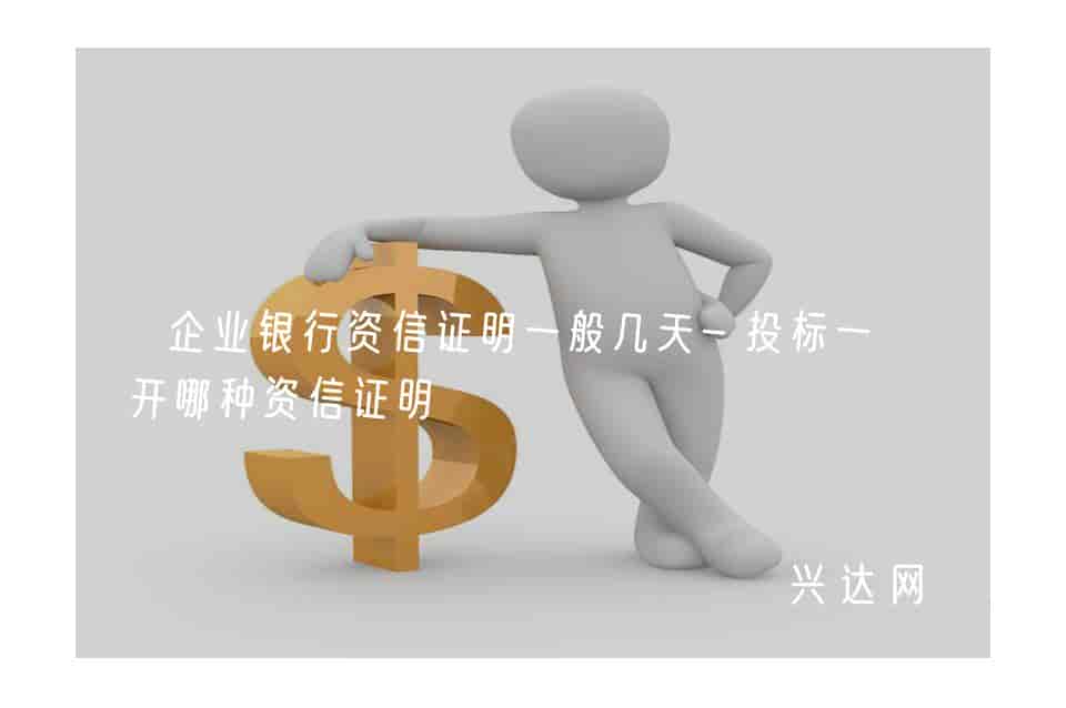 企业银行资信证明一般几天-投标一般开哪种资信证明