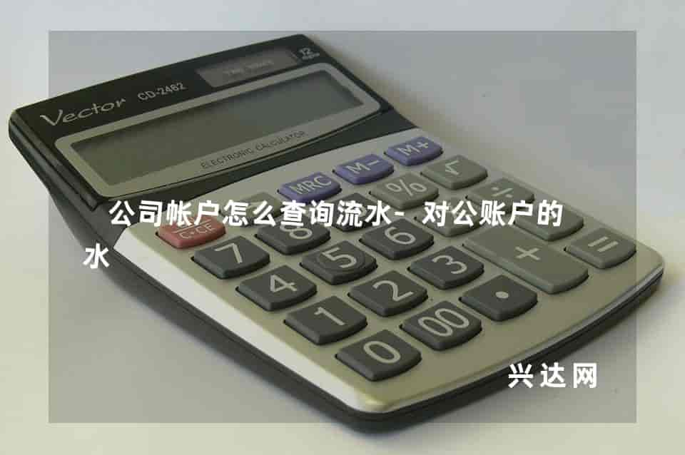 公司帐户怎么查询流水-对公账户的流水