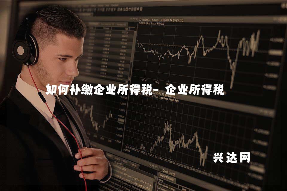 如何补缴企业所得税-企业所得税 