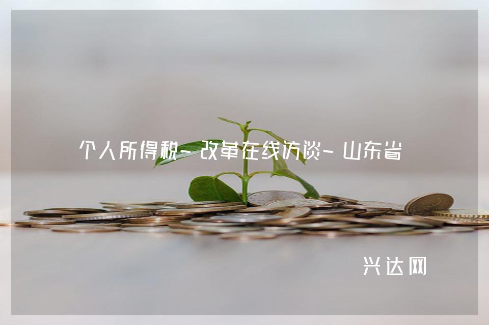 个人所得税-改革在线访谈-山东省