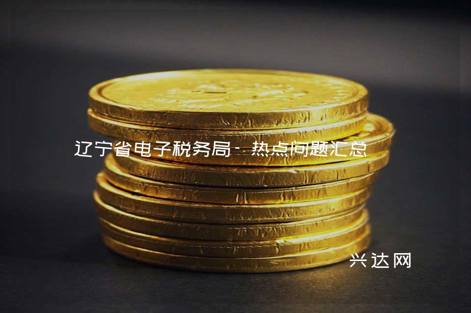 辽宁省电子税务局-热点问题汇总
