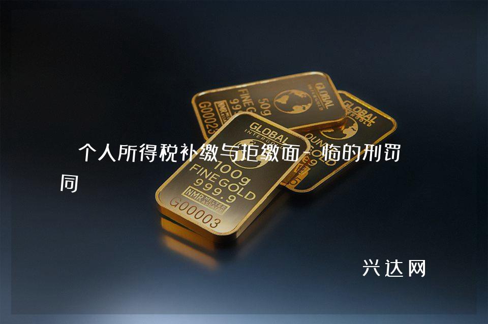 个人所得税补缴与拒缴面-临的刑罚不同