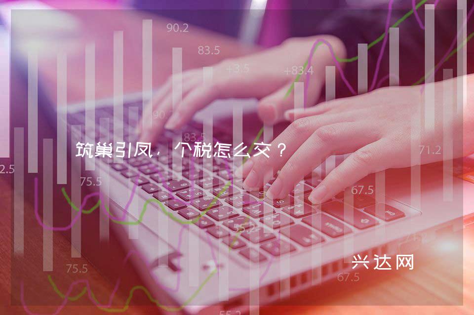 筑巢引凤,个税怎么交?