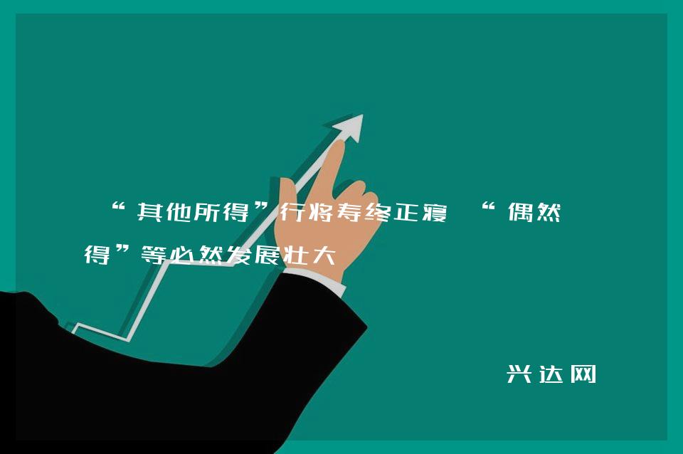 “其他所得”行将寿终正寝 “偶然所得”等必然发展壮大
