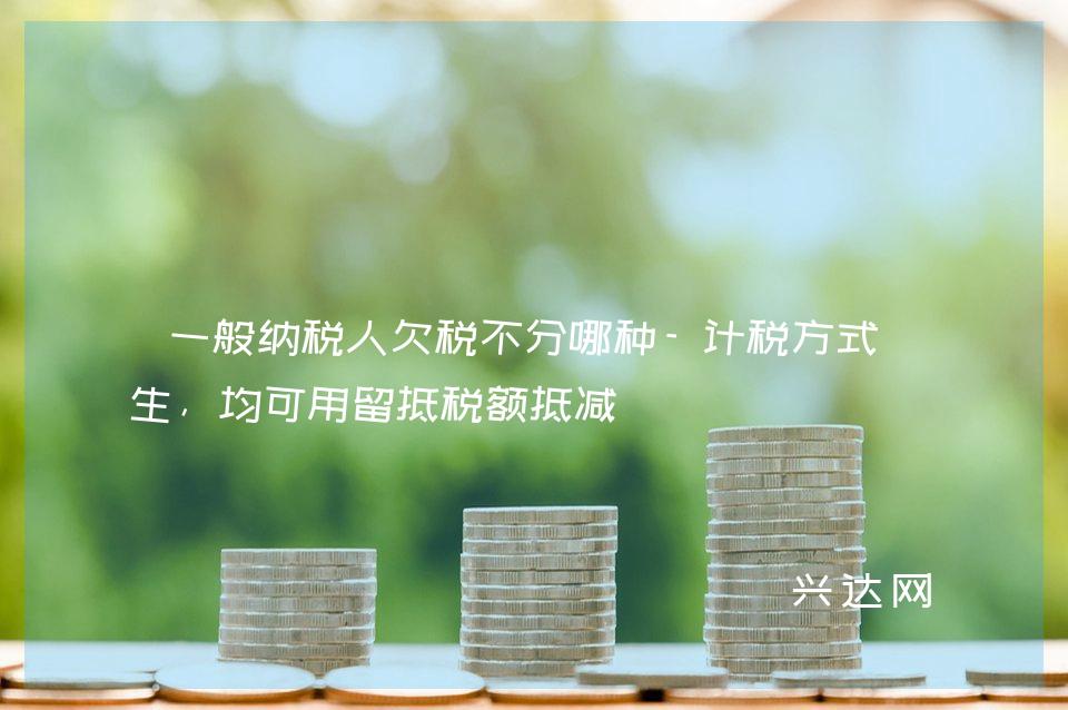 一般纳税人欠税不分哪种-计税方式产生,均可用留抵税额抵减