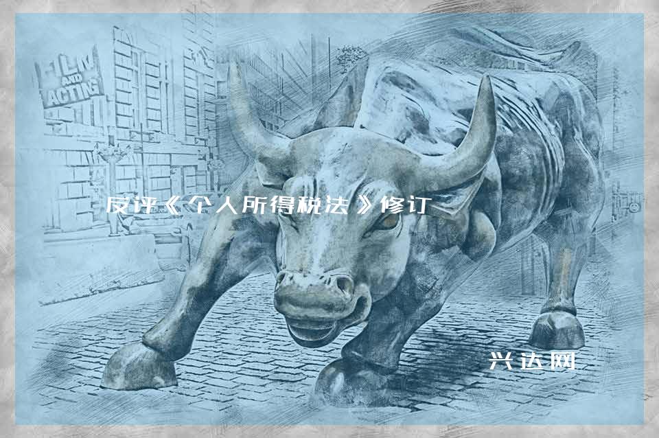 反评《个人所得税法》修订