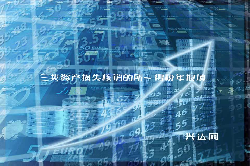 三类资产损失核销的所-得税年报填写