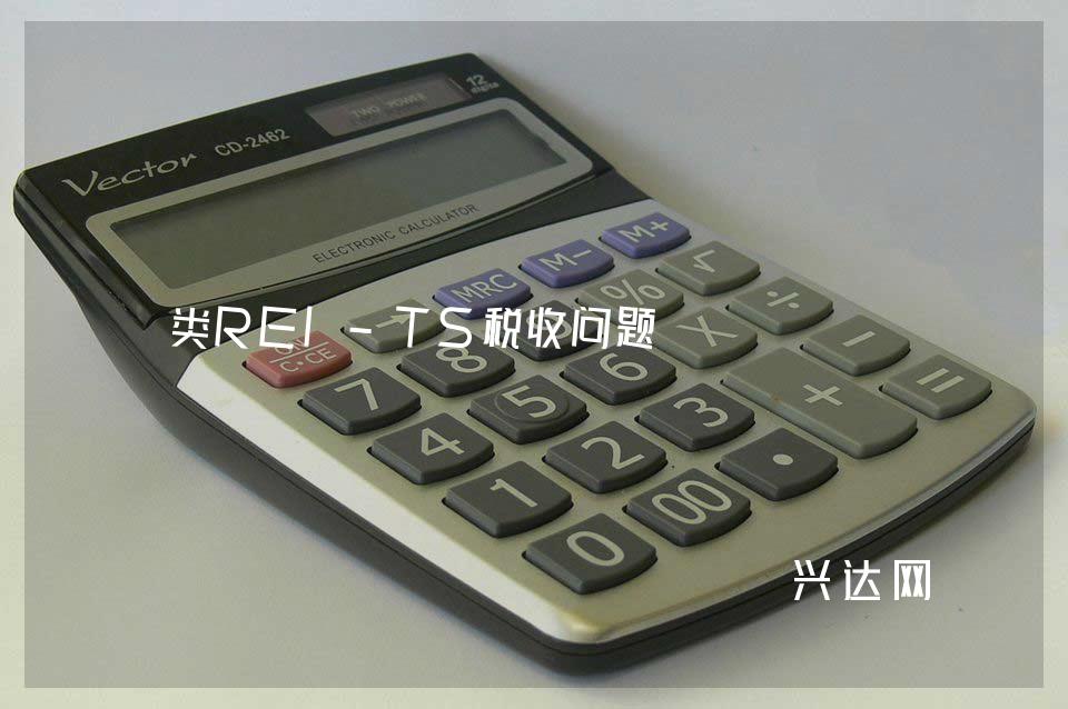 类REI-TS税收问题