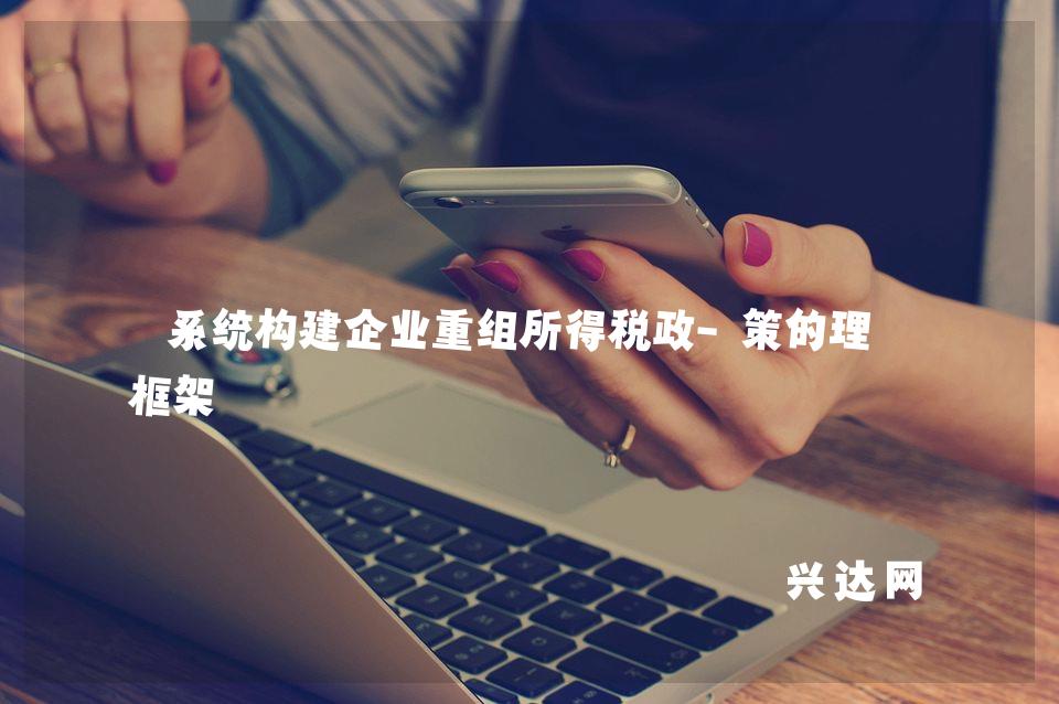 系统构建企业重组所得税政-策的理论框架
