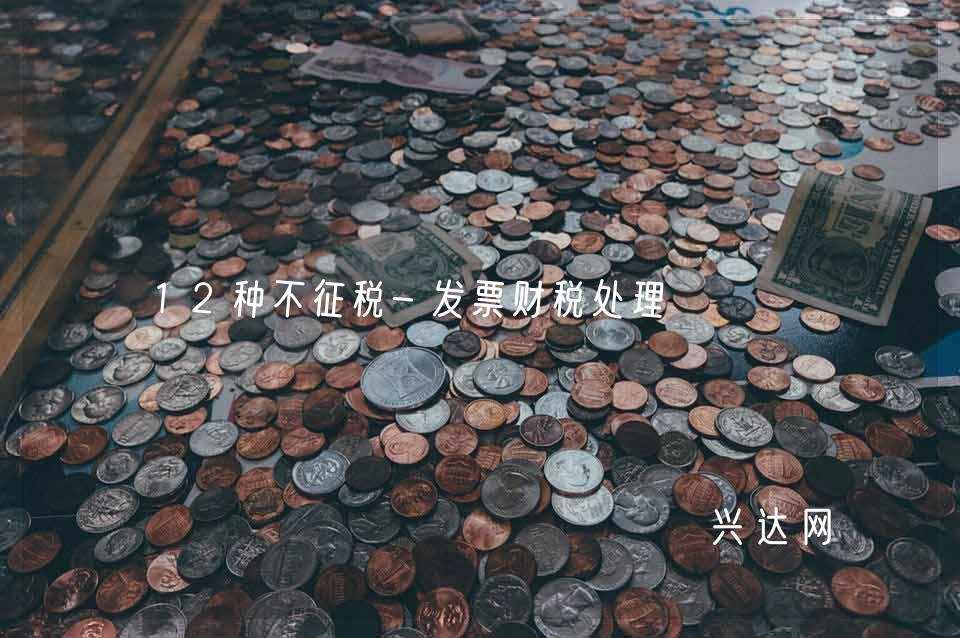 12种不征税-发票财税处理