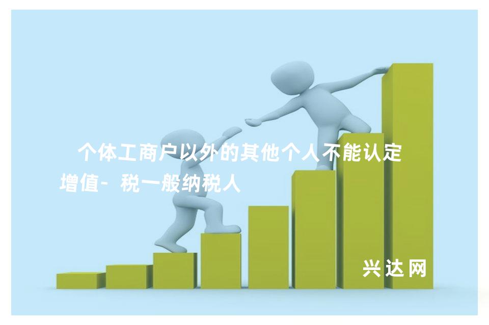 个体工商户以外的其他个人不能认定为增值-税一般纳税人