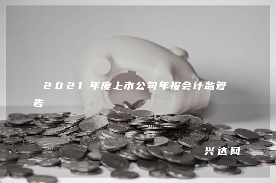 2021年度上市公司年报会计监管报告