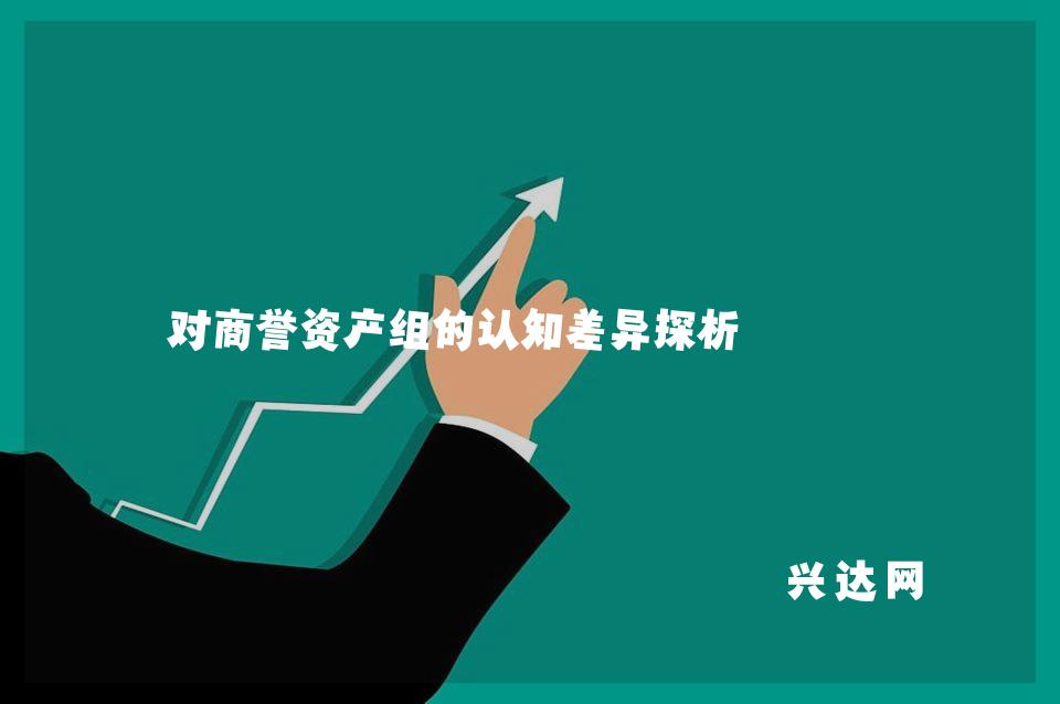 对商誉资产组的认知差异探析