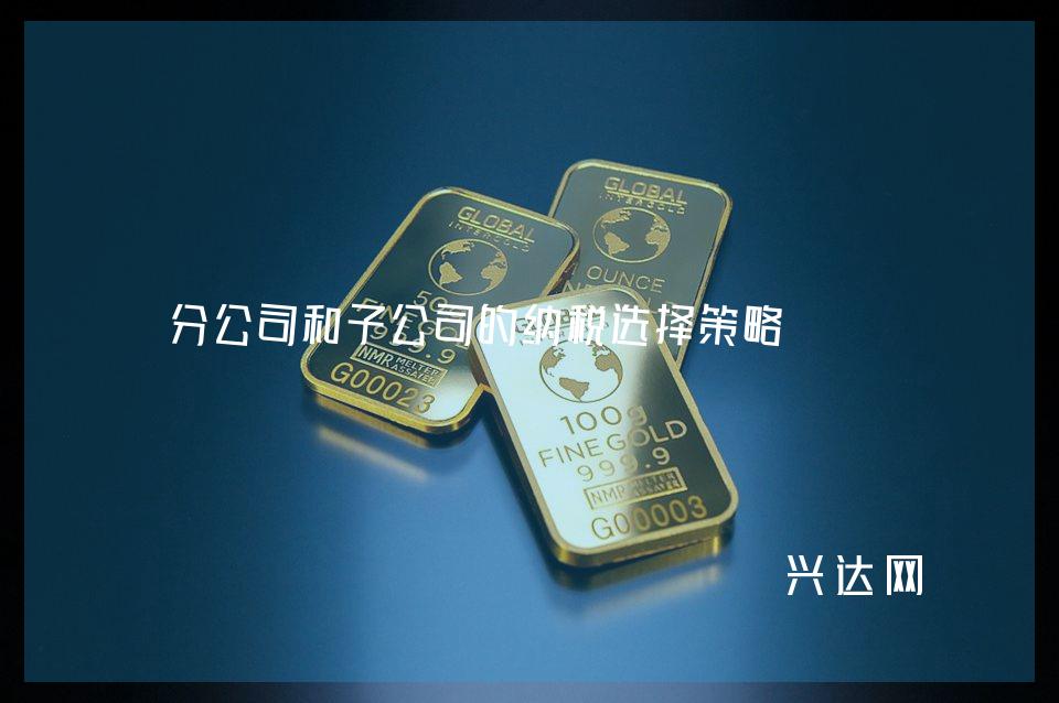 分公司和子公司的纳税选择策略