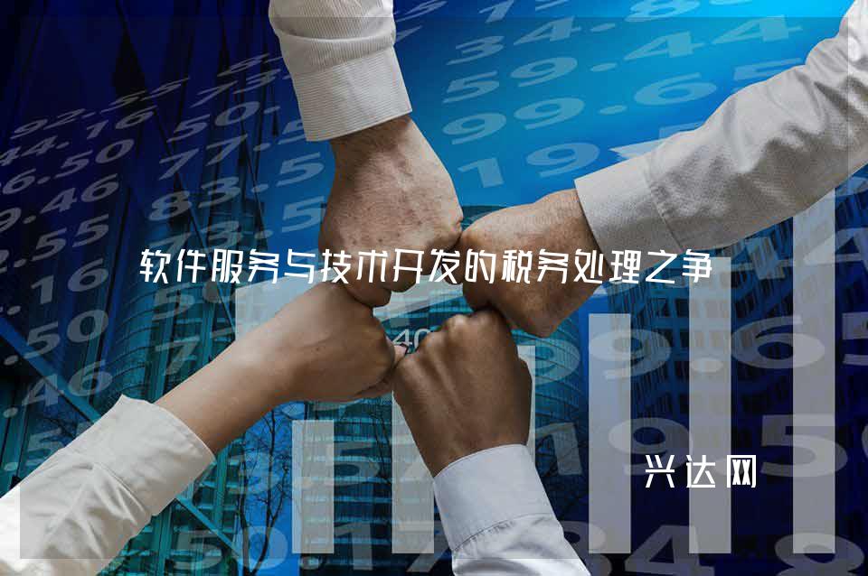 软件服务与技术开发的税务处理之争