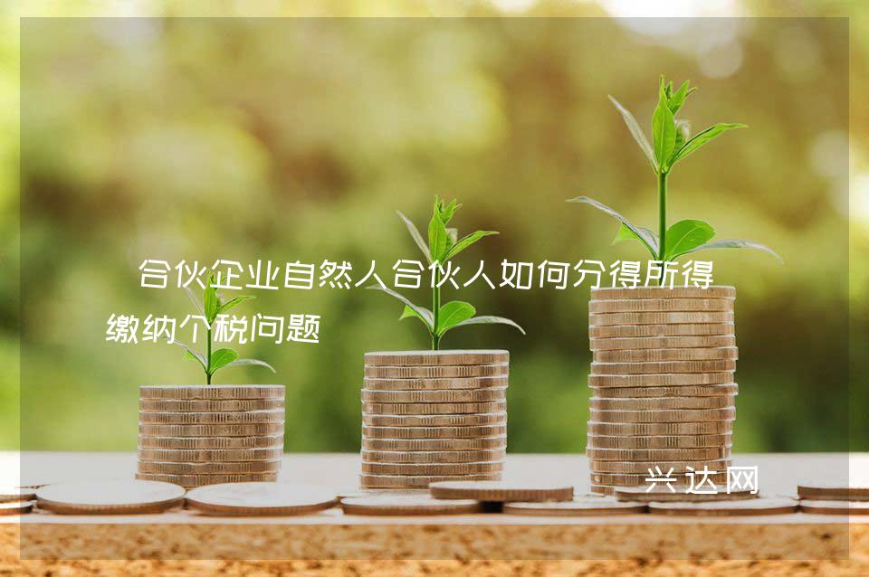 合伙企业自然人合伙人如何分得所得及缴纳个税问题