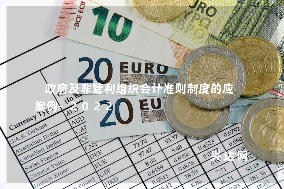 政府及非营利组织会计准则制度的应用案例-2022